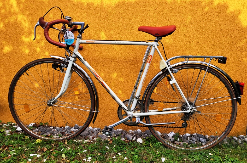 #602 Vintage REnnrad 28-Zoll 12-Gänge